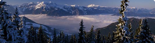 Alpbach