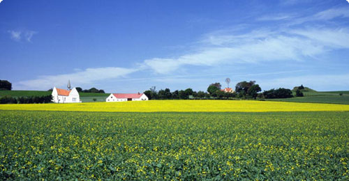 Karup