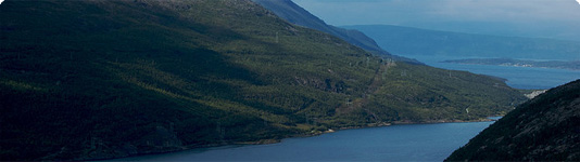 Narvik