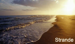� Instituto de Turismo de Espa�a (TURESPA�A)